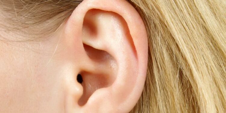 Pourquoi un bouton derrière l’oreille ? – PlaneteFemmes : Magazine d ...