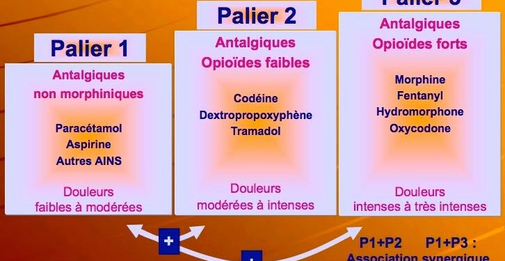 Quels sont les 3 paliers des antalgiques ? - PlaneteFemmes : Magazine d ...