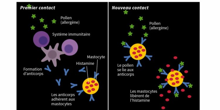 Quelle Durée Pour Une Cure De Probiotique Planetefemmes Magazine